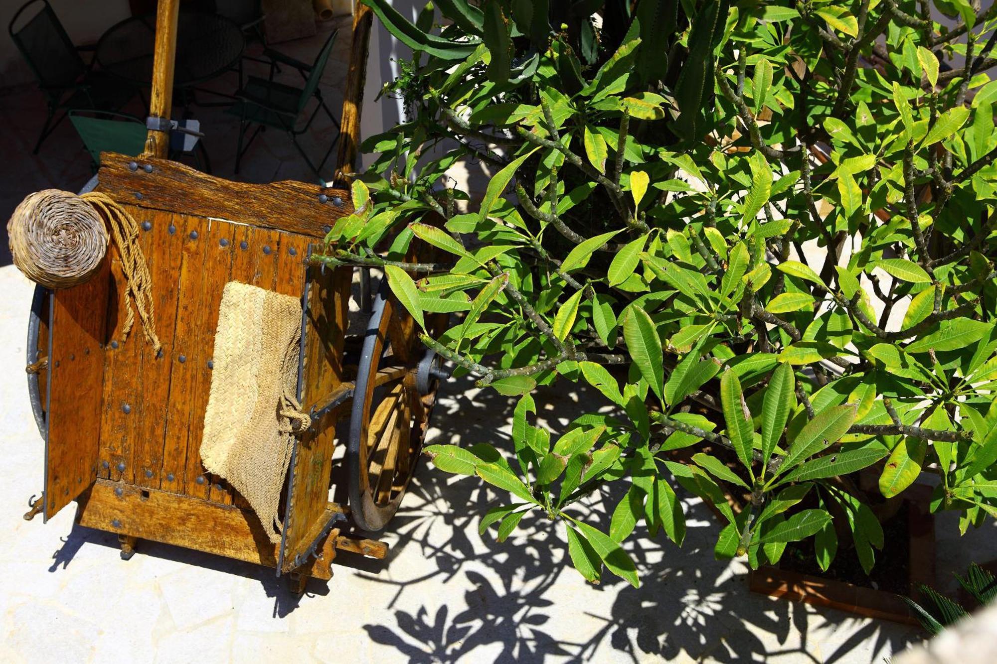 B&B Sabir Сан-Вито-Ло-Капо Экстерьер фото
